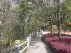 -雁荡山风景名胜区