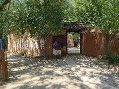 -微山湖红荷湿地景区