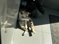 -Again Coffee Roaster(香蜜湖店)