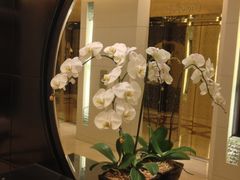iphone_upload_pic-上海世茂皇家艾美酒店