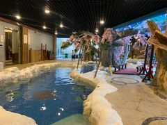-中铁花水湾温泉酒店(大邑店)