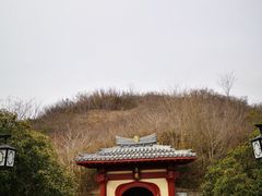 -洛阳古墓博物馆