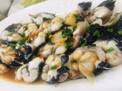 豆豉蒸黑鳗-百家福海鲜排档·闽菜·家宴(斗西路口店)