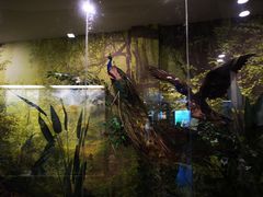 -下渚湖国家湿地公园科普馆