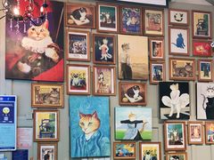 -猫咪博物馆(顶澳仔猫街店)