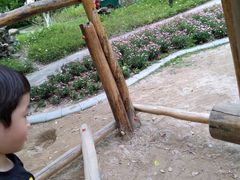 -范蠡湖公园