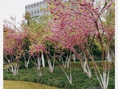 -杭州城北体育公园