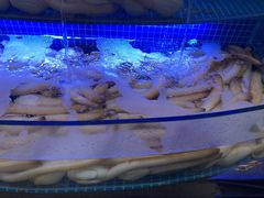-驻海渔市(置信店)
