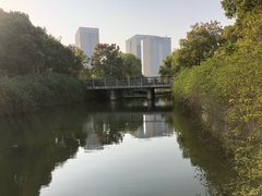 -尚贤河湿地