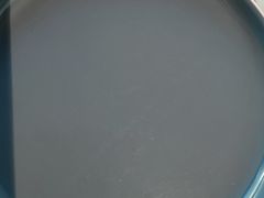 -胡家大厨(西三庄店)