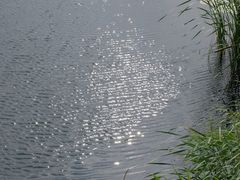 -苏州太湖湖滨国家湿地公园