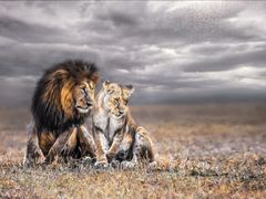 -罗红摄影艺术馆