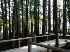 -东湖落雁景区