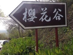-南京市江宁方山