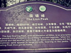 -缙云山景区