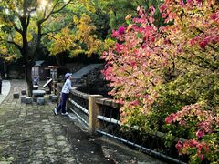 -石老人观光园