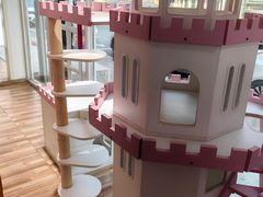 -青奢宠物·青奢猫舍