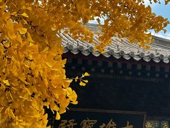 -红螺寺