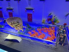 -安徽高速开元国际大酒店·地中海自助餐厅