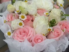 -首脑美容美发化妆美甲培训学校(龙岗校区)