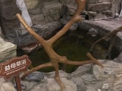 -静之湖湖畔餐厅