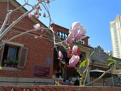 -晋江五店市传统文化旅游区
