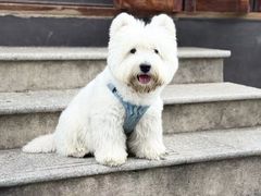 -Swing Coffee(钟楼区步行街店)