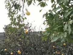 -张家界青和锦江国际酒店