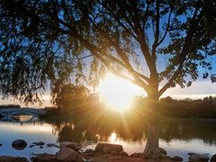 -大兴滨河森林公园