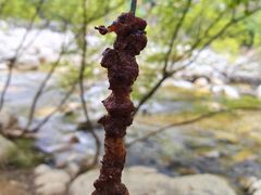 -太平万花山景区
