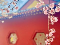 -桃花堤公园
