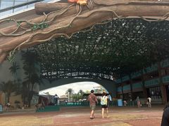 -苏州湾梦幻水世界