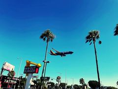 -In-N-Out Burger(LAX)