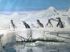 -上海海洋水族馆