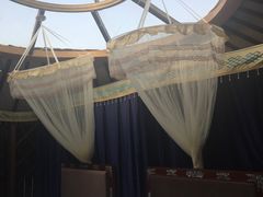 -哈素海