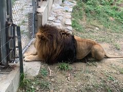 -石家庄市动物园