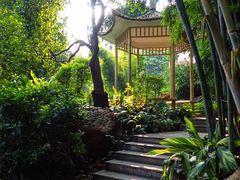 -晓港公园