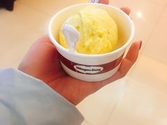 -哈根达斯(石家庄北国店)