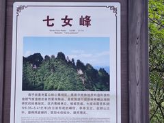 -光雾山旅游景区