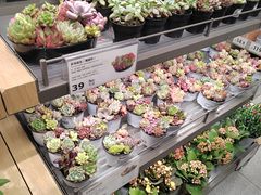 -鹿岛生活(熙地港店)