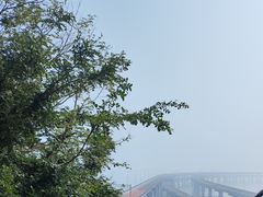 -星海湾跨海大桥
