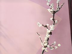 -颐和园