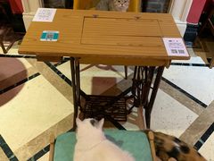 -猫色咖啡·猫咖