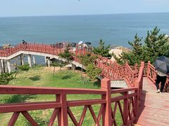 -养马岛旅游度假区