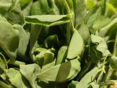 -云尊府云南菜·蒸汽石锅鱼(学清路店)