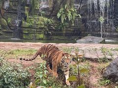 -海南热带野生动植物园