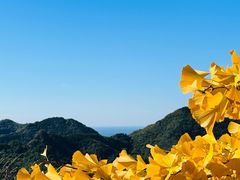 -京东石林峡风景区