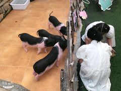 -HERRE·FARM 赫尔露营农场·团建聚会包场