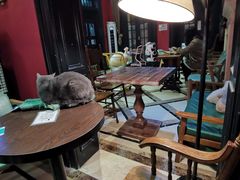 大堂-猫色咖啡·猫咖