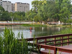 -新江湾城公园